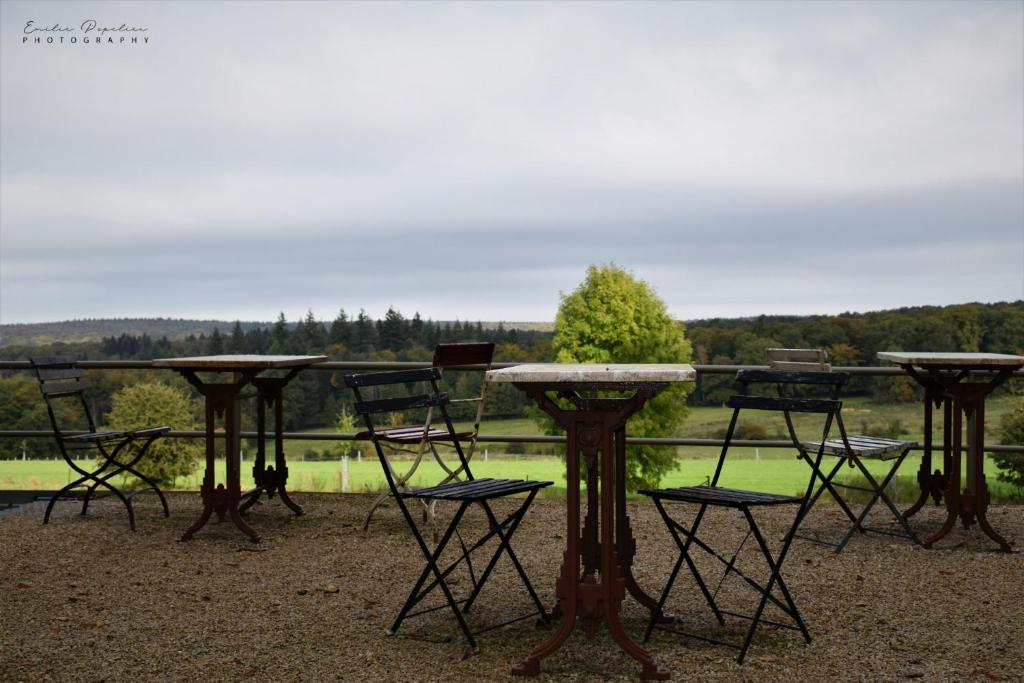 La terrasse face au pré et à la forêt